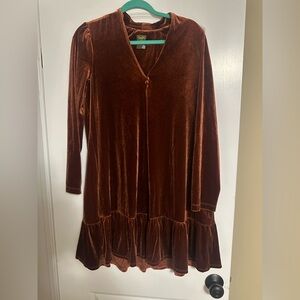 Taylor Velvet Brown Dress